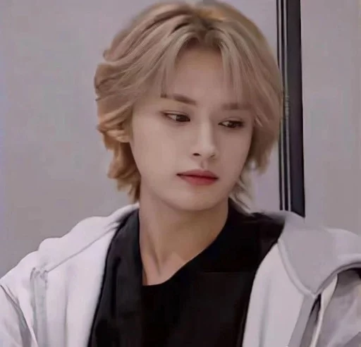 🫣 Стикер «stray kids memes» для Telegram