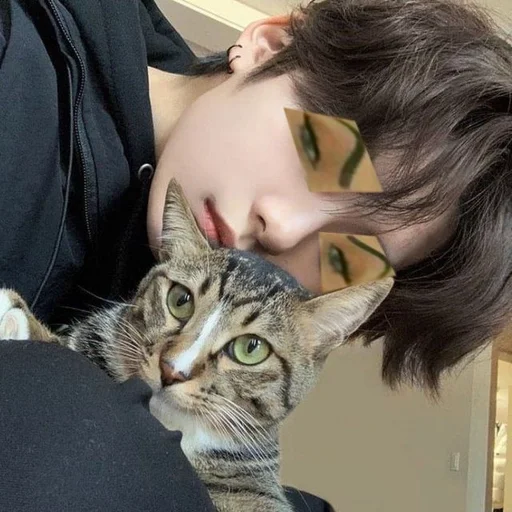 🤨 Стикер «stray kids memes» для Telegram