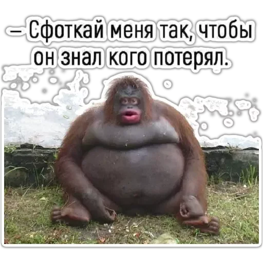 ☸ Стикер «clippy_basket» для Telegram