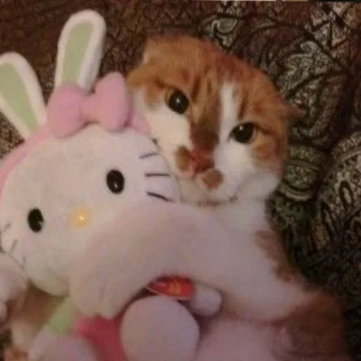 🥺 Стикер «closticks10!» для Telegram