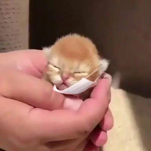 🥺 Стикер «closticks10!» для Telegram