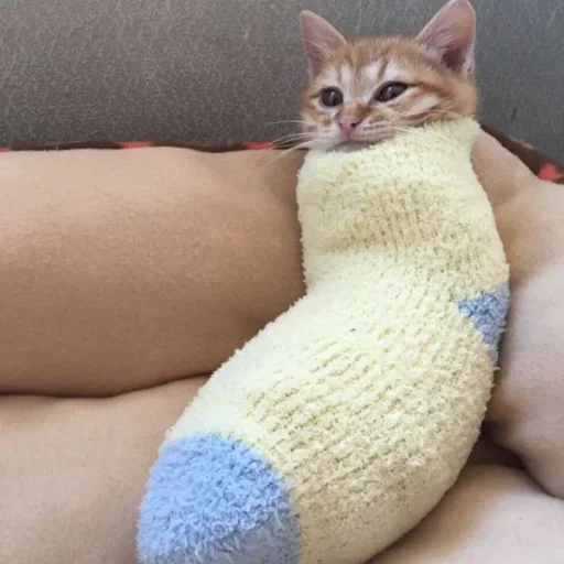 🤨 Стикер «closticks10!» для Telegram