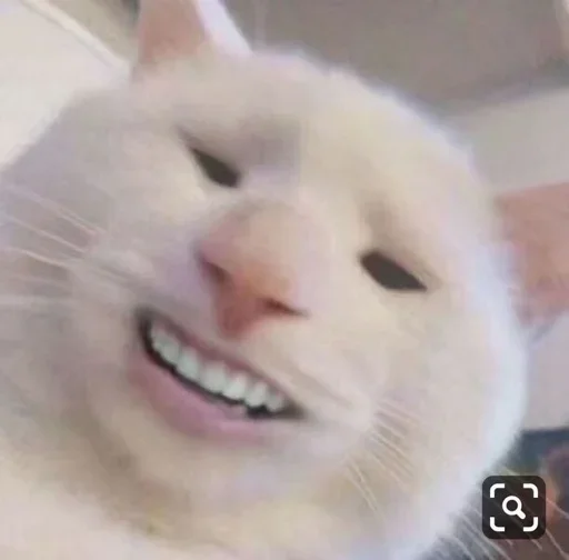 😼 Стикер «closticks12!» для Telegram
