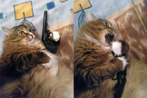 😼 Стикер «closticks12!» для Telegram