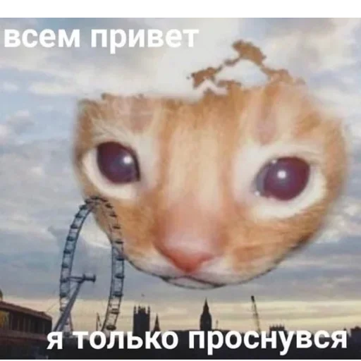 😺 Стикер «closticks13!» для Telegram