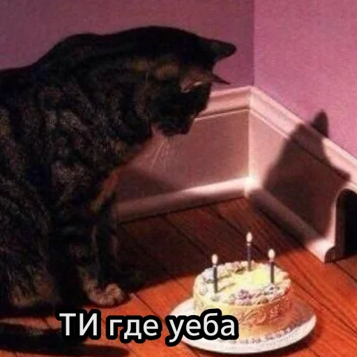 😺 Стикер «closticks13!» для Telegram