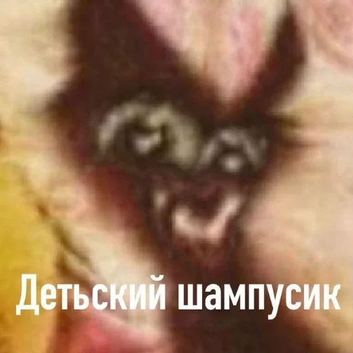 😺 Стикер «closticks13!» для Telegram