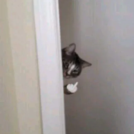 😺 Стикер «closticks14!» для Telegram