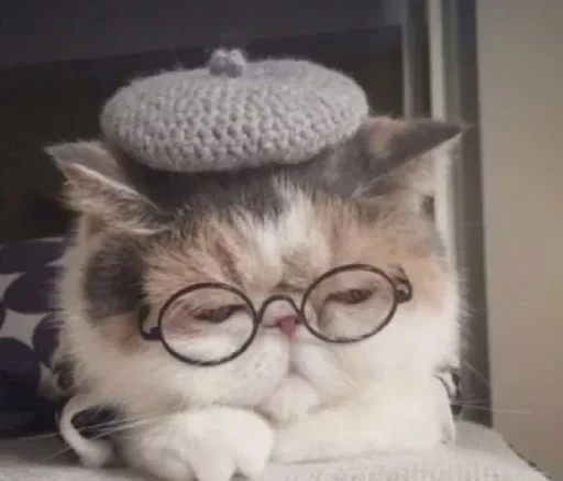 😺 Стикер «closticks16!» для Telegram