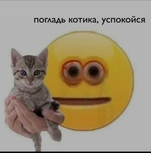 😺 Стикер «closticks16!» для Telegram