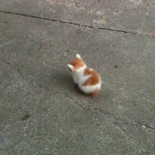 🥺 Стикер «closticks5!» для Telegram