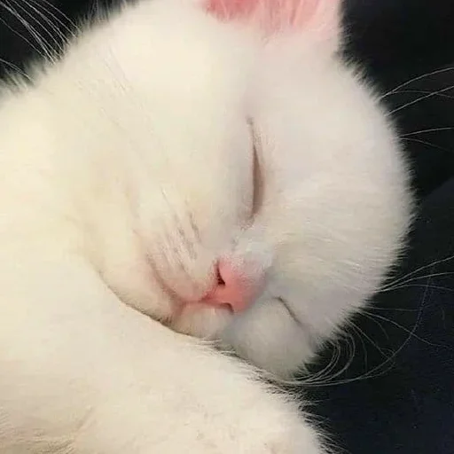 😴 Стикер «closticks6!» для Telegram
