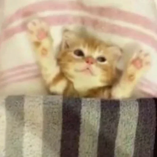 🥰 Стикер «closticks6!» для Telegram