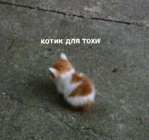 😌 Стикер «closticks7!» для Telegram