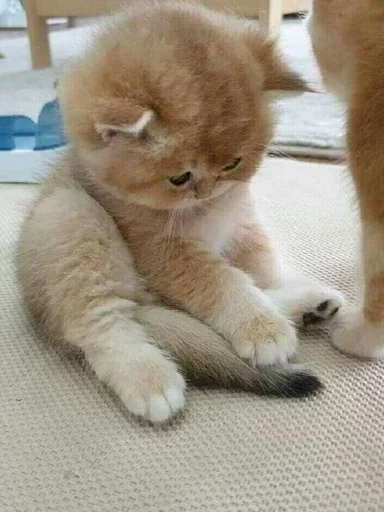 🥺 Стикер «closticks8!» для Telegram
