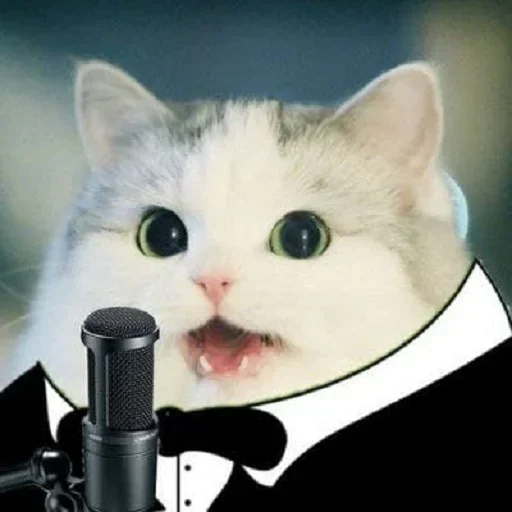😼 Стикер «closticks9!» для Telegram