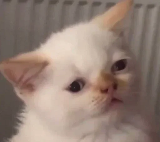 😔 Стикер «closticks9!» для Telegram