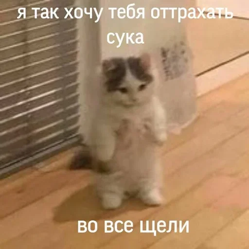 ❤️ Стикер «closticks9!» для Telegram