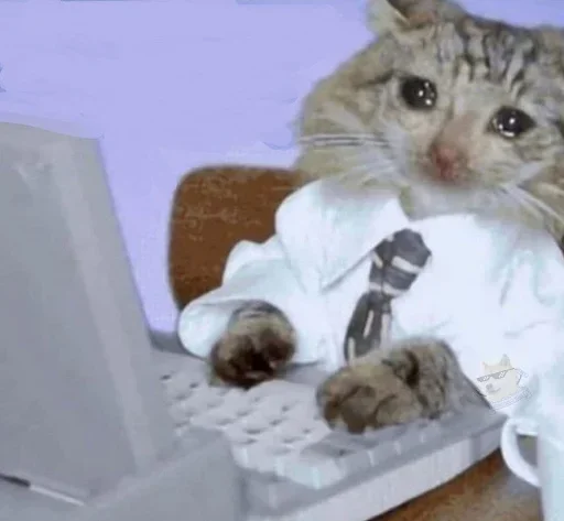 😢 Стикер «closticks9!» для Telegram