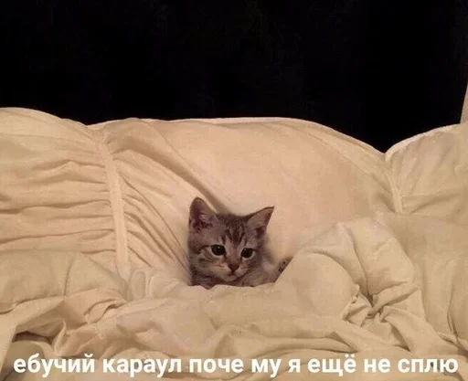 😐 Стикер «closticks4!» для Telegram