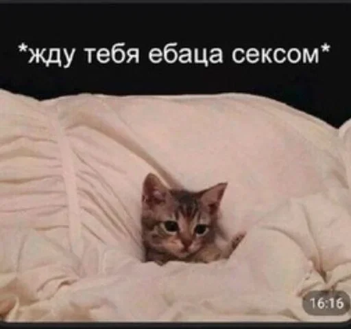 ❤️ Стикер «closticks4!» для Telegram