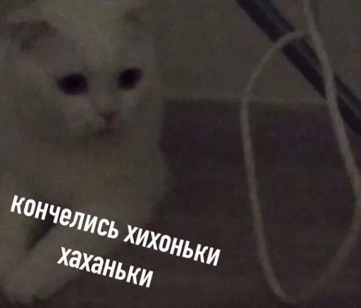 😰 Стикер «closticks4!» для Telegram