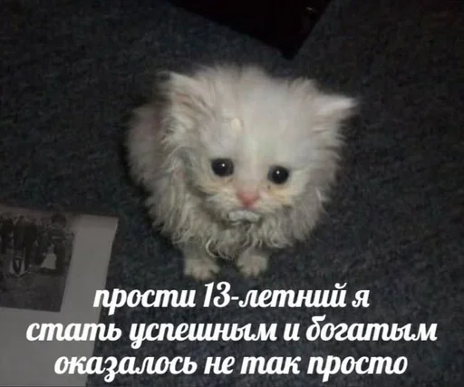 😰 Стикер «closticks4!» для Telegram