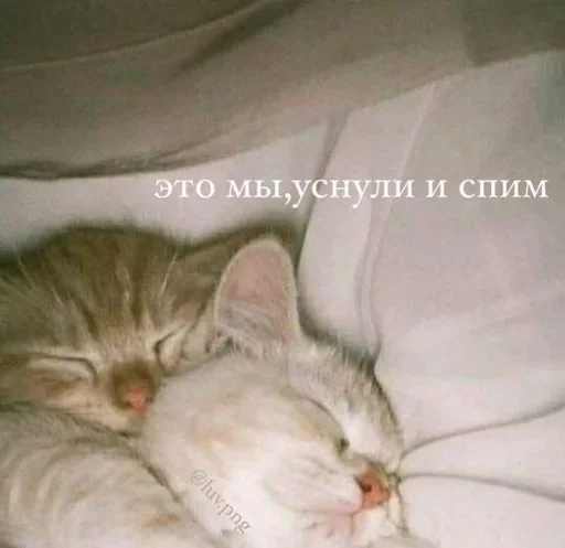 🥰 Стикер «closticks4!» для Telegram