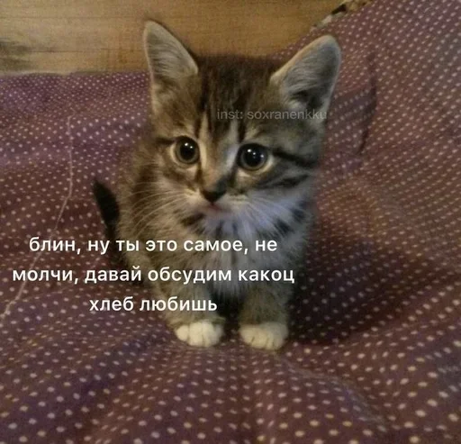 🤨 Стикер «closticks4!» для Telegram