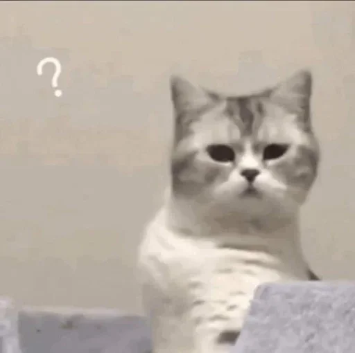 🤨 Стикер «closticks4!» для Telegram