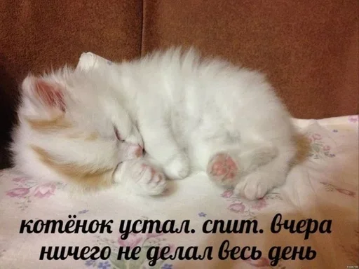 😥 Стикер «closticks4!» для Telegram