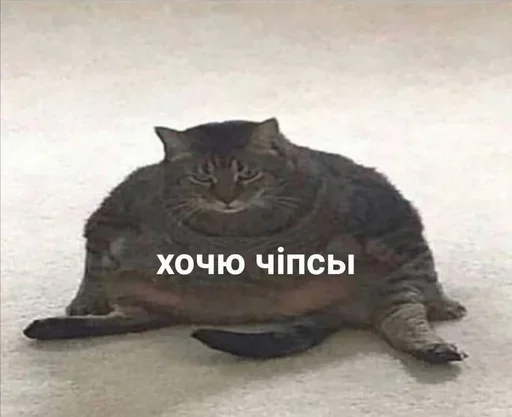 😋 Стикер «closticks4!» для Telegram