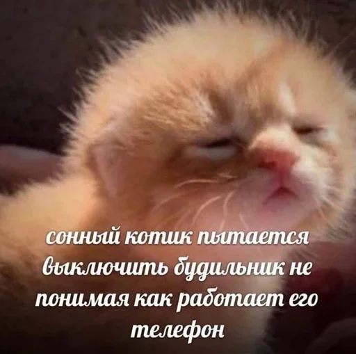 🥲 Стикер «closticks4!» для Telegram