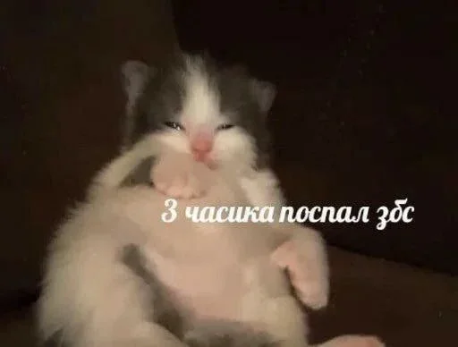 😴 Стикер «closticks4!» для Telegram