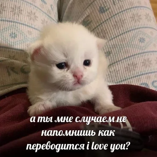 ❤️ Стикер «closticks4!» для Telegram