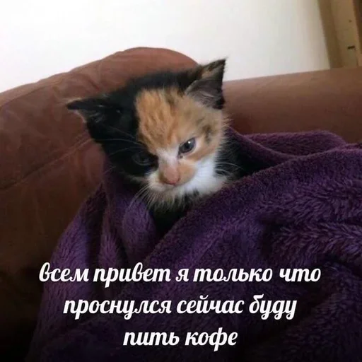 🥳 Стикер «closticks4!» для Telegram
