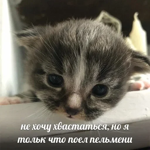 🥳 Стикер «closticks4!» для Telegram
