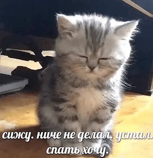😴 Стикер «closticks4!» для Telegram