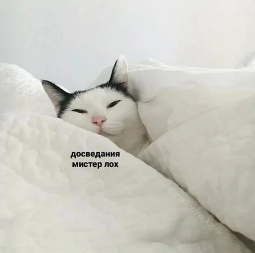 😏 Стикер «closticks4!» для Telegram