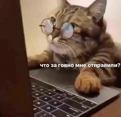 🤨 Стикер «closticks4!» для Telegram