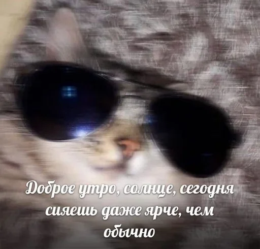 😎 Стикер «closticks4!» для Telegram
