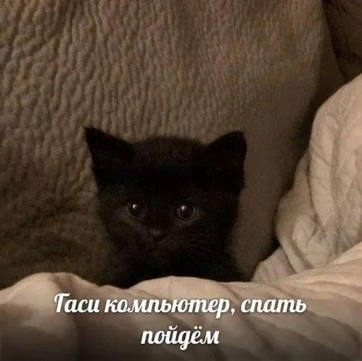 😴 Стикер «closticks4!» для Telegram