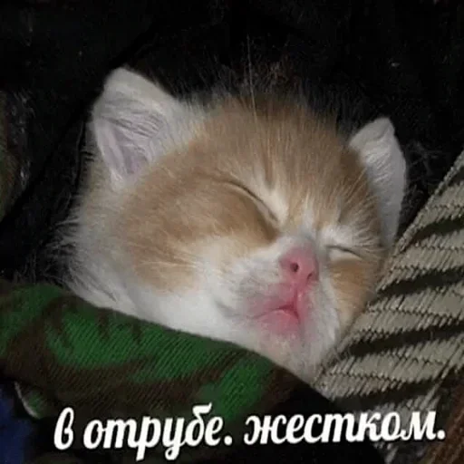 😪 Стикер «closticks4!» для Telegram