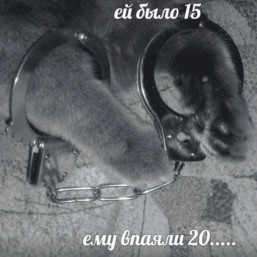 😺 Стикер «котикиии» для Telegram