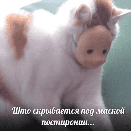😺 Стикер «котикиии» для Telegram