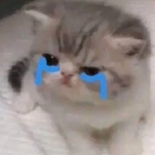 😭 Стикер «closticks3!» для Telegram
