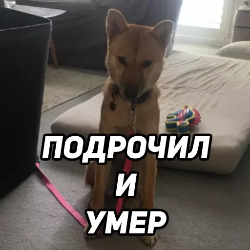 😵 Стикер «closticks2!» для Telegram