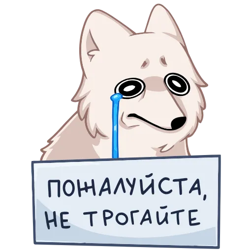 Стикер 48 Клауд add