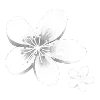 Стикер 60 Cloudy