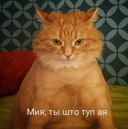 😒 Стикер «радиатор сдох» для Telegram